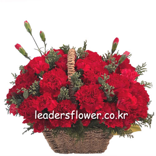 상세이미지