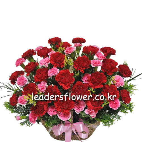 상세이미지